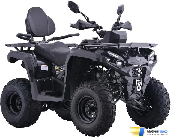 Квадроцикл AVM Adventure 250 - Изображение