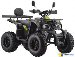 Квадроцикл AVM Thunder 200 Черный - Изображение