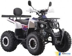 Квадроцикл AVM Thunder 200 Белый - Изображение